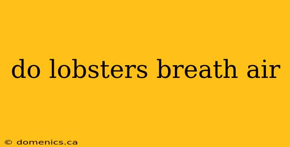 do lobsters breath air
