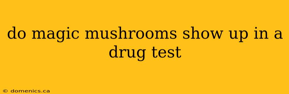 do magic mushrooms show up in a drug test