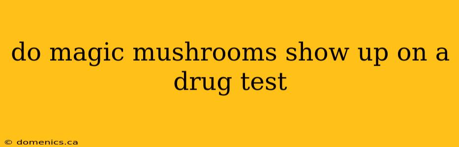 do magic mushrooms show up on a drug test