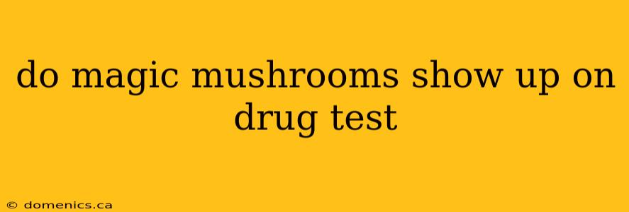 do magic mushrooms show up on drug test