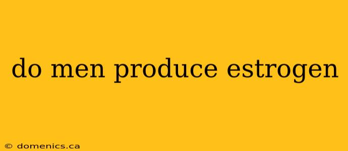 do men produce estrogen