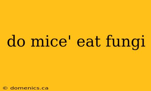 do mice' eat fungi