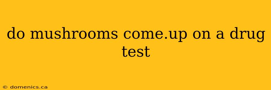 do mushrooms come.up on a drug test