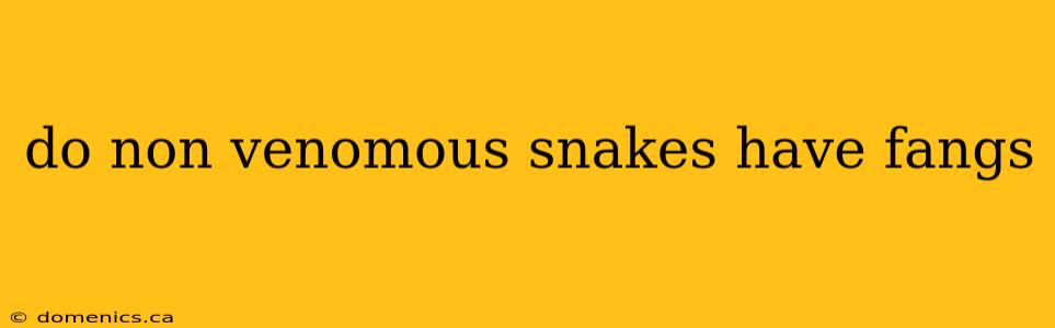 do non venomous snakes have fangs