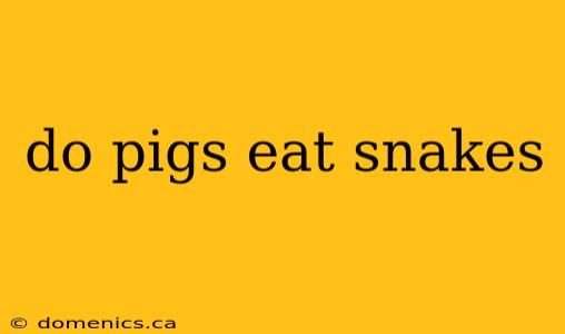 do pigs eat snakes