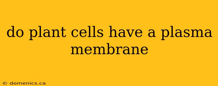 do plant cells have a plasma membrane