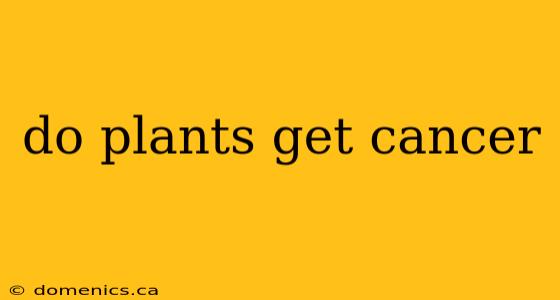 do plants get cancer