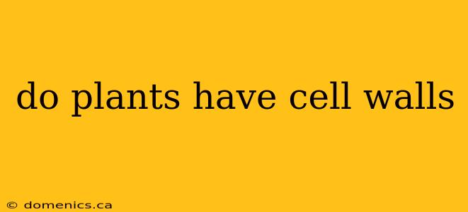 do plants have cell walls