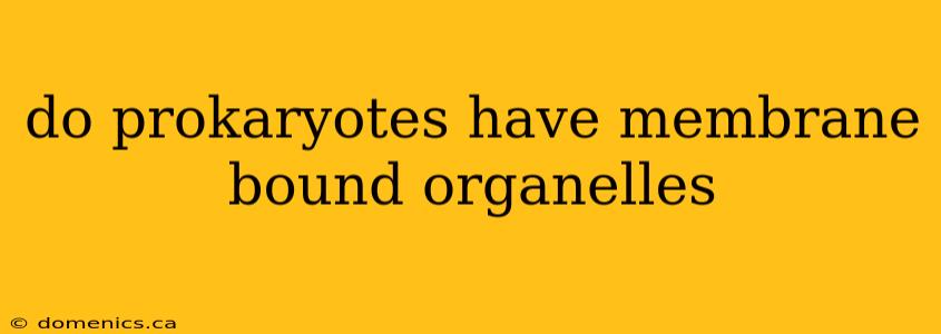 do prokaryotes have membrane bound organelles