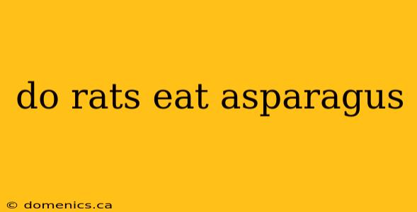 do rats eat asparagus