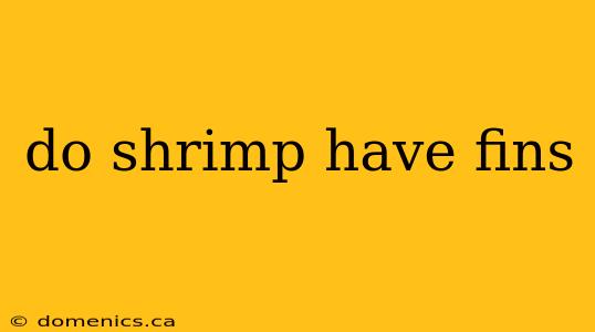 do shrimp have fins