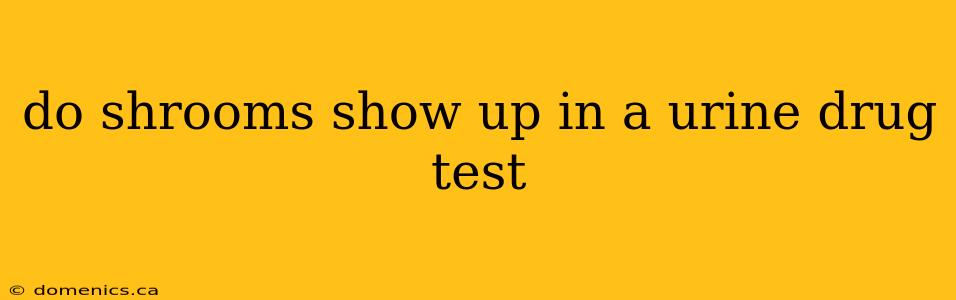 do shrooms show up in a urine drug test