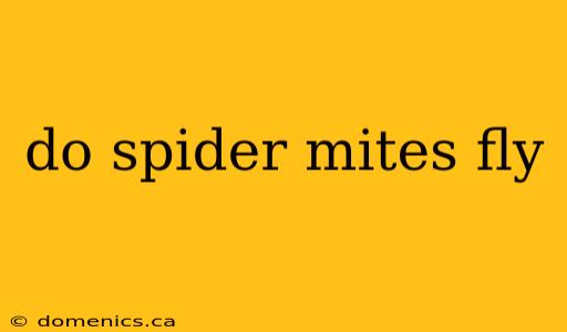 do spider mites fly