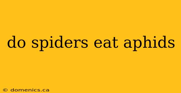 do spiders eat aphids