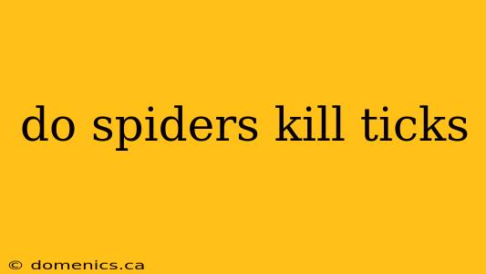 do spiders kill ticks