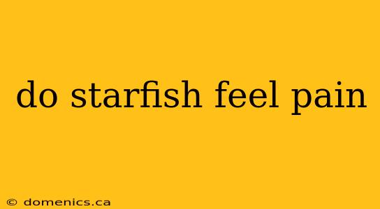 do starfish feel pain