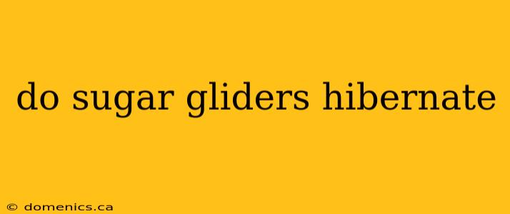 do sugar gliders hibernate