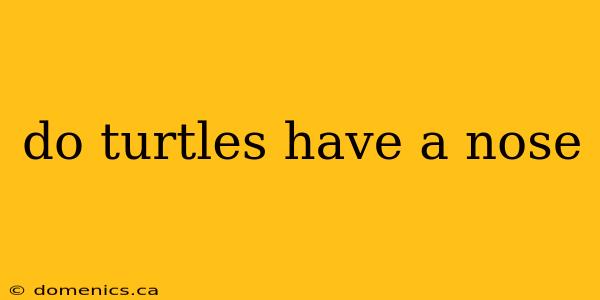 do turtles have a nose