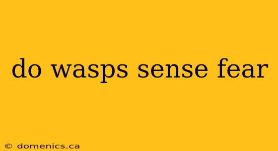 do wasps sense fear