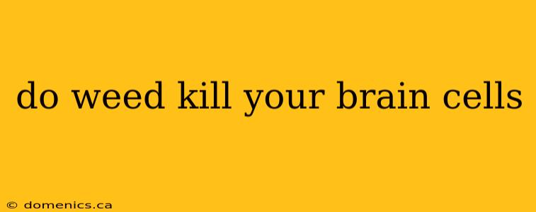 do weed kill your brain cells