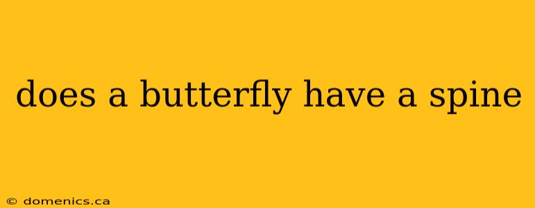 does a butterfly have a spine