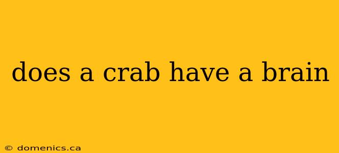 does a crab have a brain