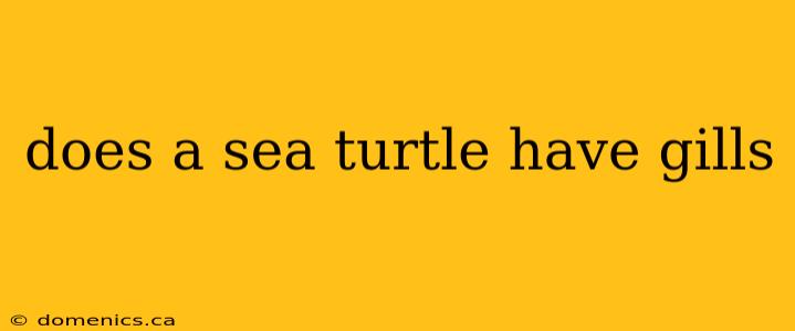 does a sea turtle have gills