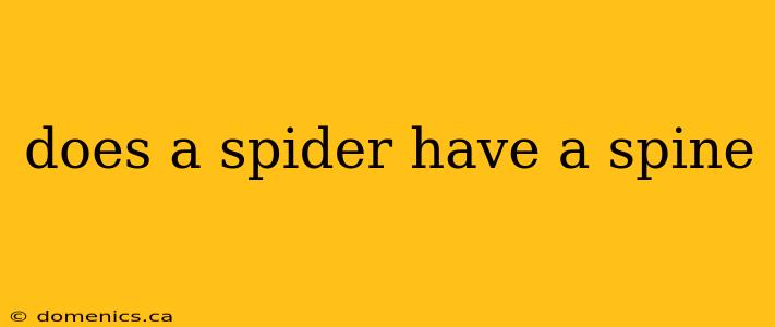 does a spider have a spine