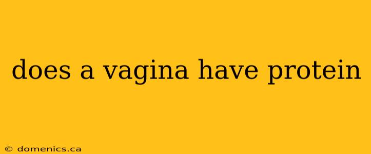 does a vagina have protein