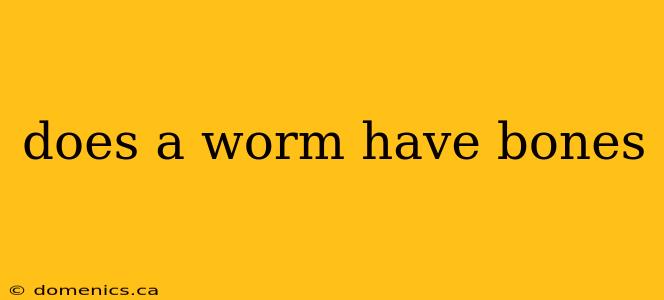 does a worm have bones