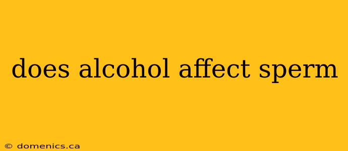 does alcohol affect sperm