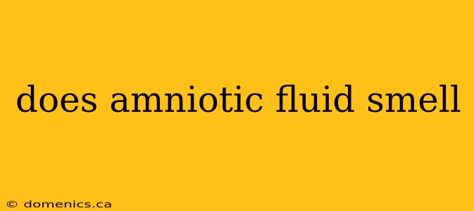 does amniotic fluid smell