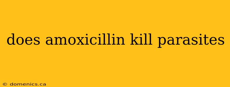 does amoxicillin kill parasites