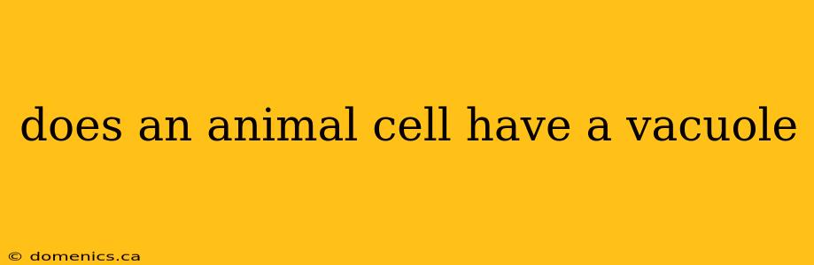 does an animal cell have a vacuole