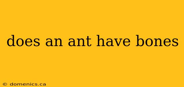 does an ant have bones