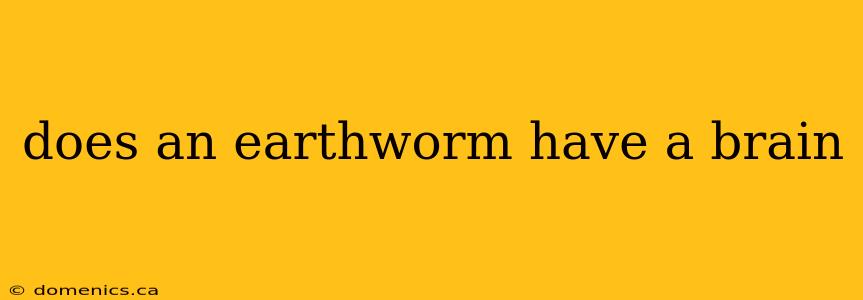 does an earthworm have a brain