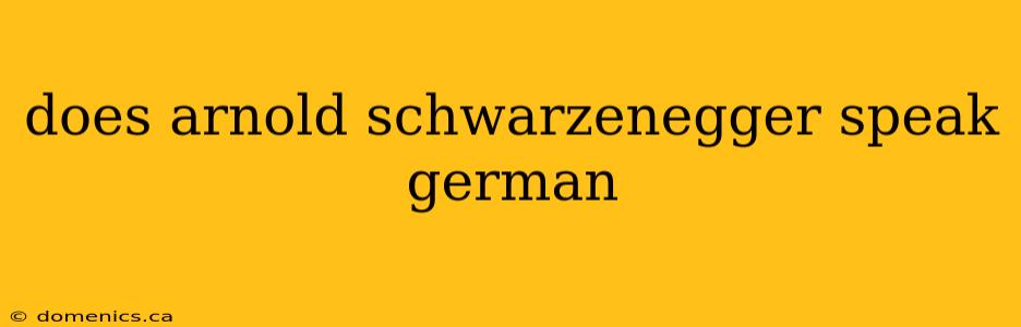 does arnold schwarzenegger speak german