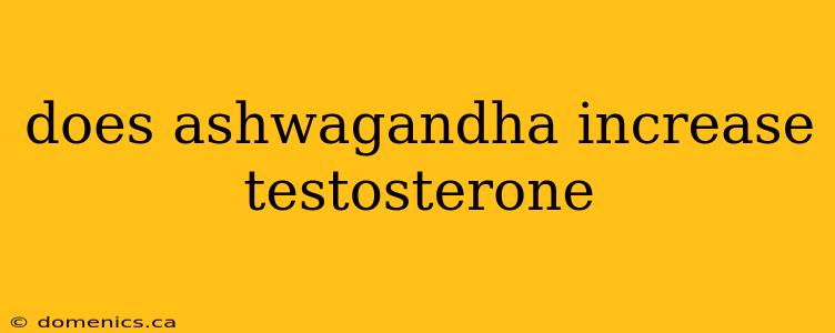 does ashwagandha increase testosterone