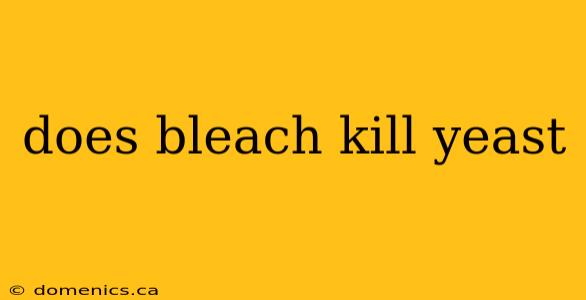 does bleach kill yeast