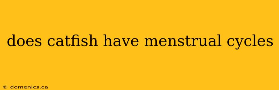 does catfish have menstrual cycles