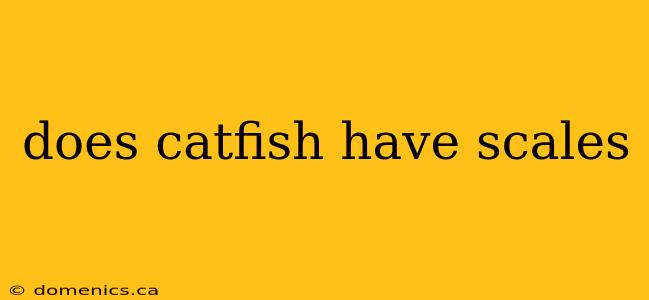 does catfish have scales