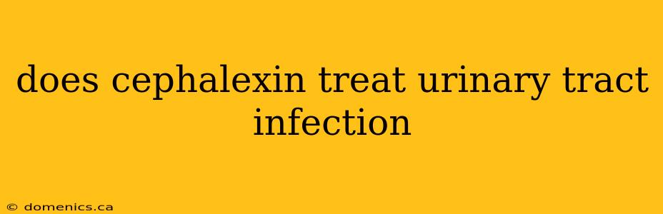 does cephalexin treat urinary tract infection