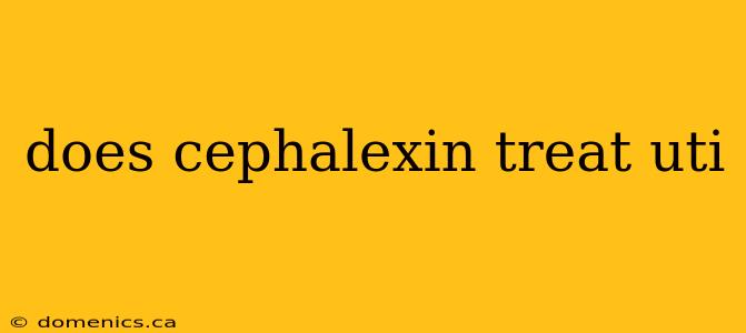 does cephalexin treat uti