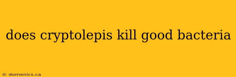 does cryptolepis kill good bacteria