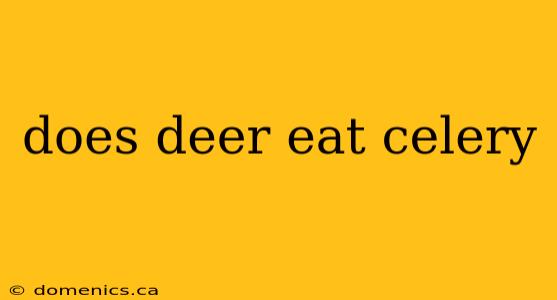 does deer eat celery