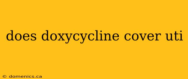 does doxycycline cover uti