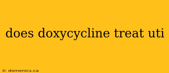 does doxycycline treat uti