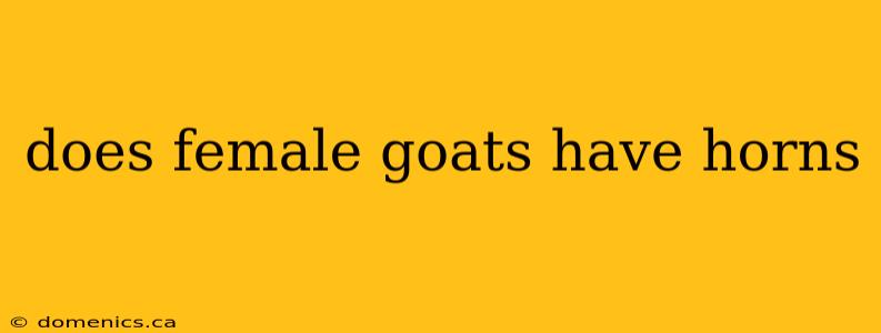 does female goats have horns