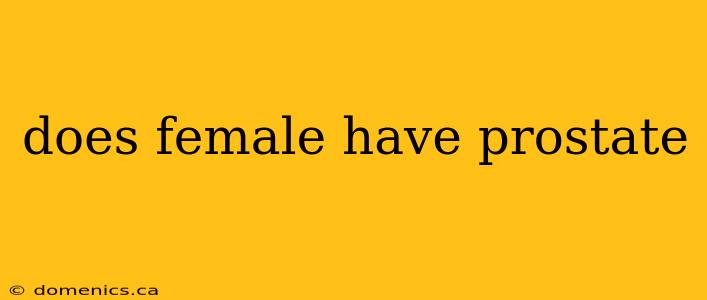 does female have prostate