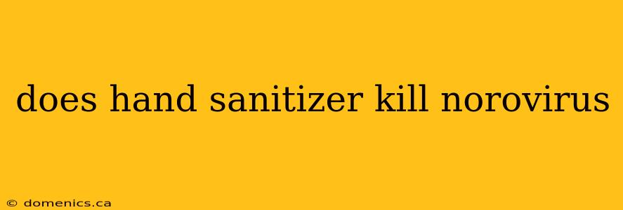 does hand sanitizer kill norovirus